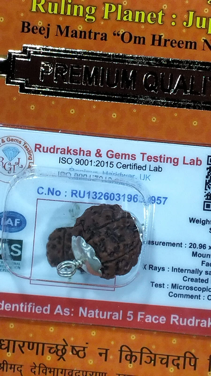 5 Mukhi Rudraksha Bead – Kalagni Rudra Blessing Sacred Natural Rudraksha - Image 6