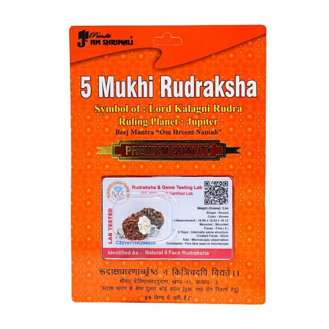 5 Mukhi Rudraksha Bead – Kalagni Rudra Blessing Sacred Natural Rudraksha - Image 7