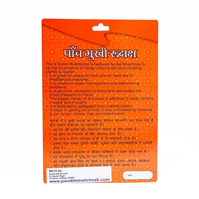 5 Mukhi Rudraksha Bead – Kalagni Rudra Blessing Sacred Natural Rudraksha - Image 8