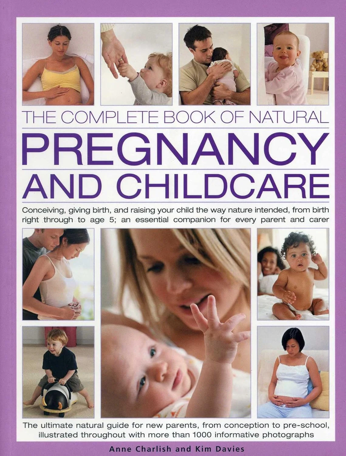 THE COMPLETE BOOK OF NATURAL PREGANCY AND CHILDCARE - Image 2