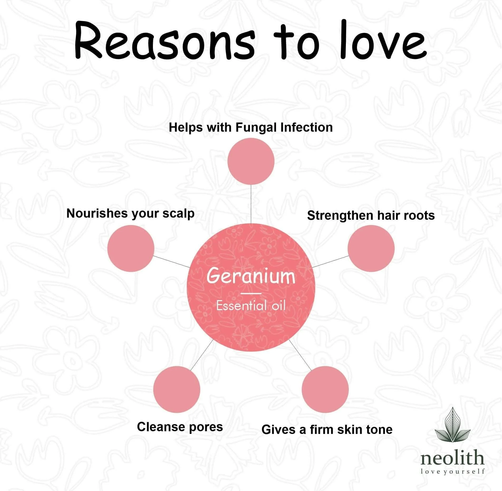 Geranium Essential Oil - Image 3