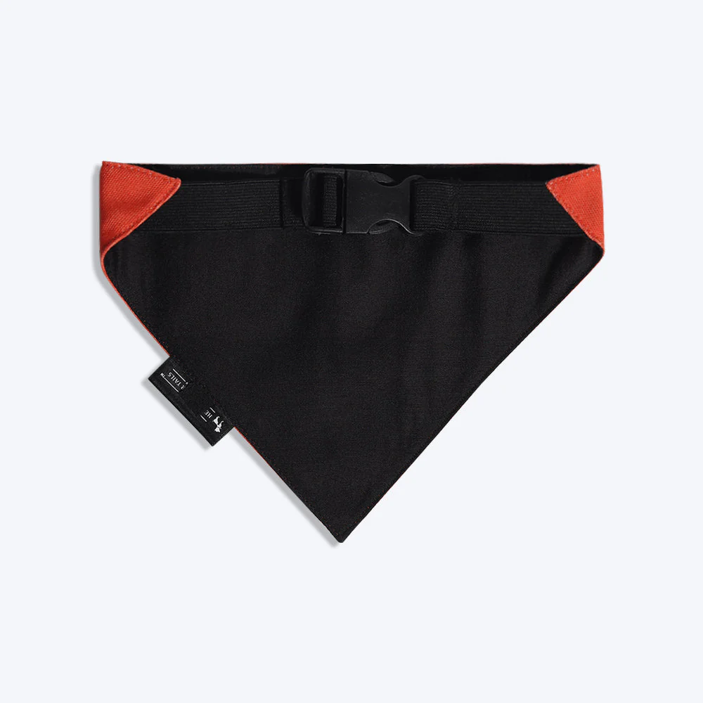 HUFT Drool Is Cool Dog Bandana - Image 2