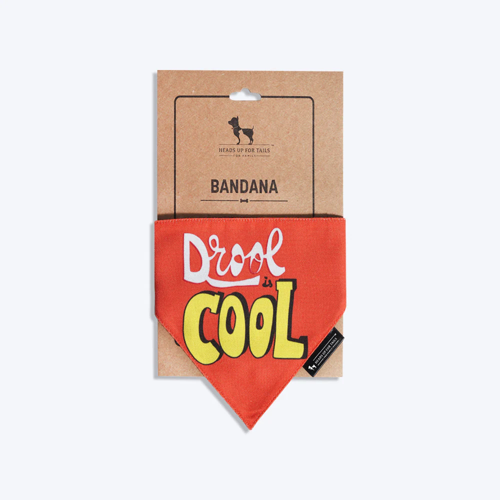 HUFT Drool Is Cool Dog Bandana - Image 3