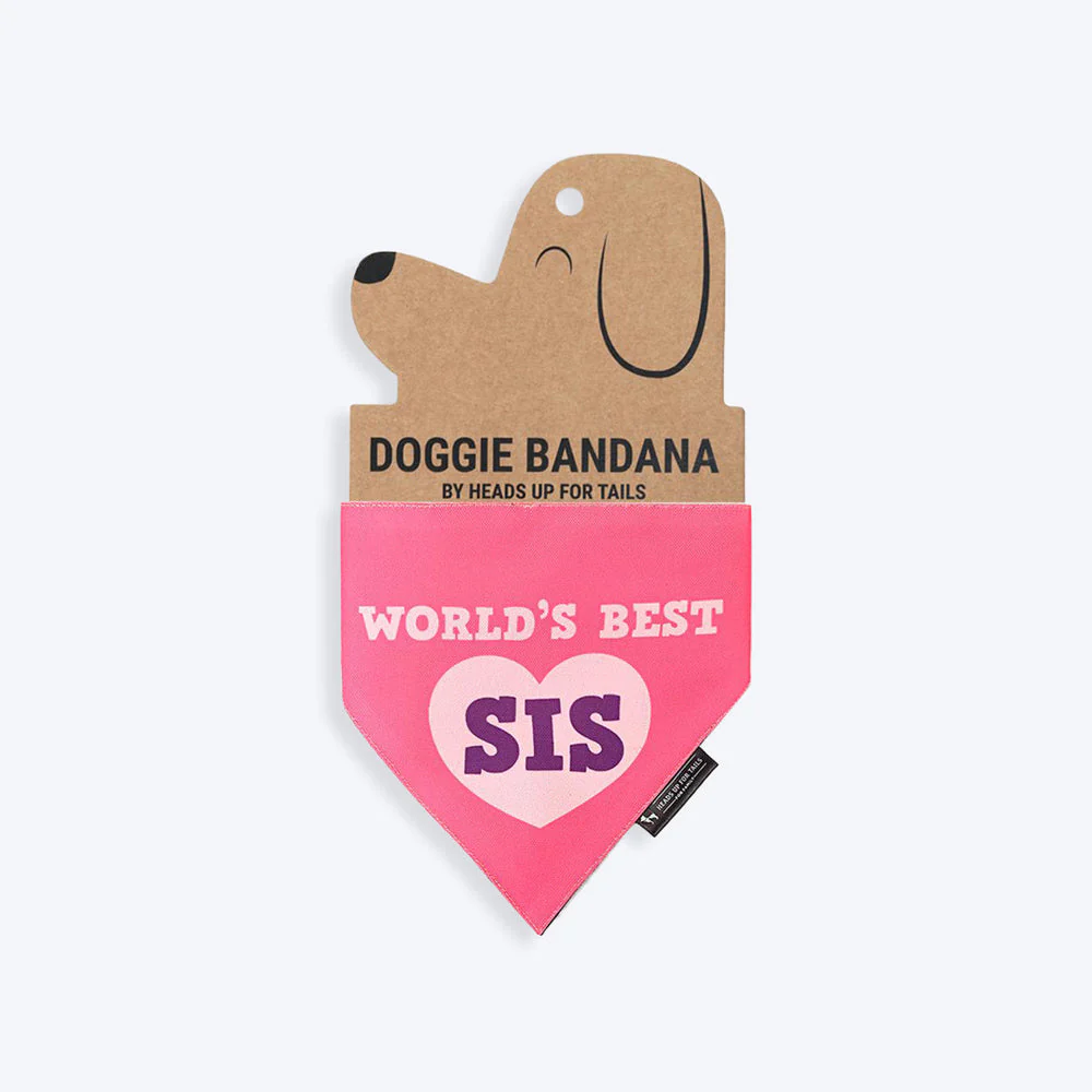 HUFT World's Best Sis Dog Bandana - Image 3