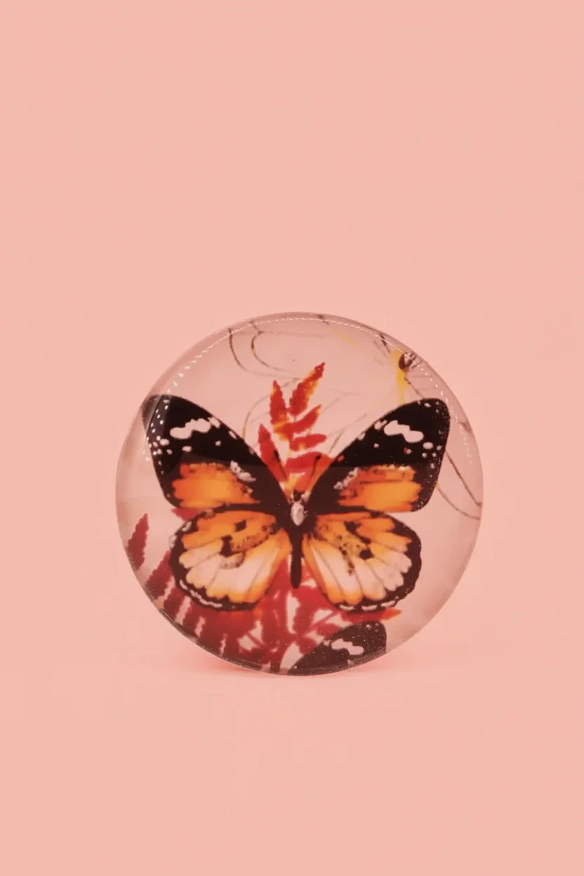 Plastic Magnetic Fridge Sticker (Butterfly Printed) - 1 Pc (Assorted colors) - Image 4