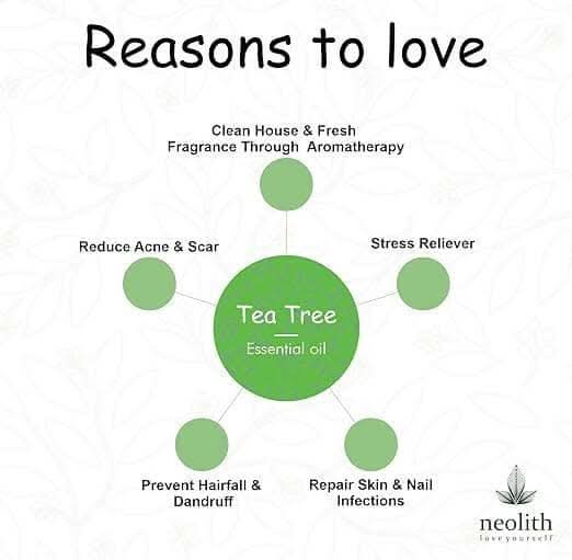 Tea Tree Essential Oil (15ml) - Image 3